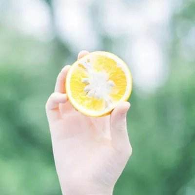 斗罗大陆成龙版下载